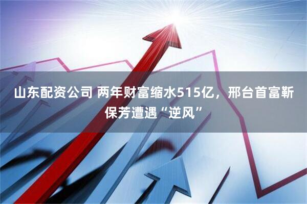 山东配资公司 两年财富缩水515亿，邢台首富靳保芳遭遇“逆风”