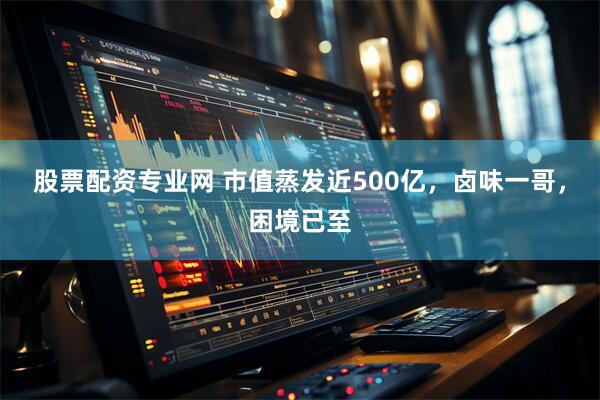 股票配资专业网 市值蒸发近500亿，卤味一哥，困境已至